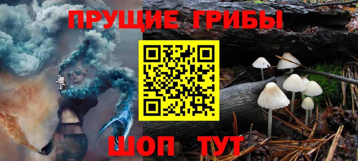 купить   Псилоцибиновые грибы Magic Shrooms  Галлюциногенные грибы ЛСД  Вход с VPN  Тосно 